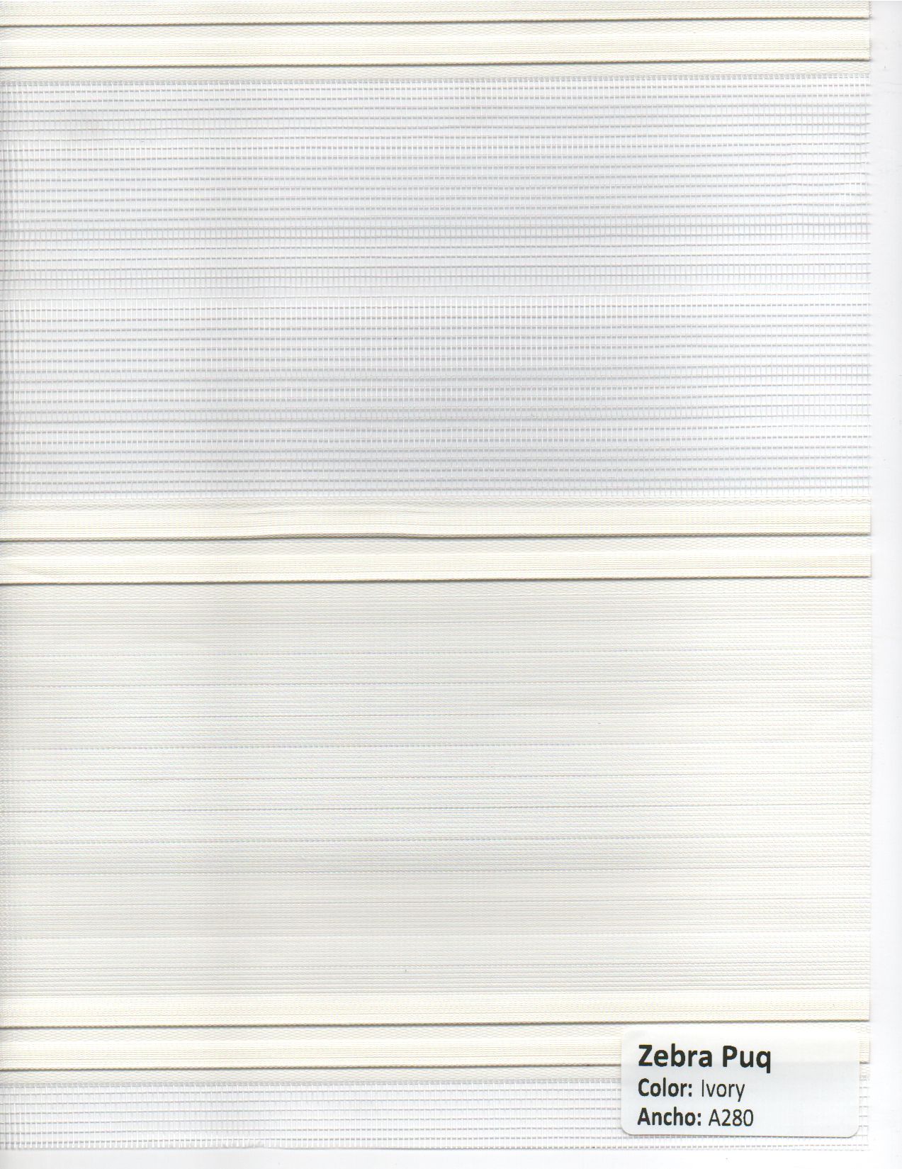 Zebra Puq Ivory