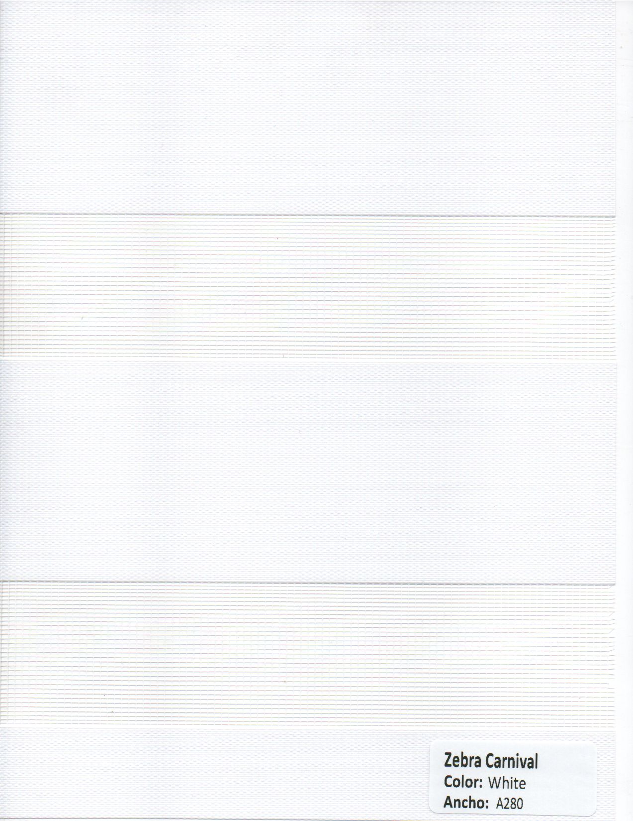 Zebra Carnival White