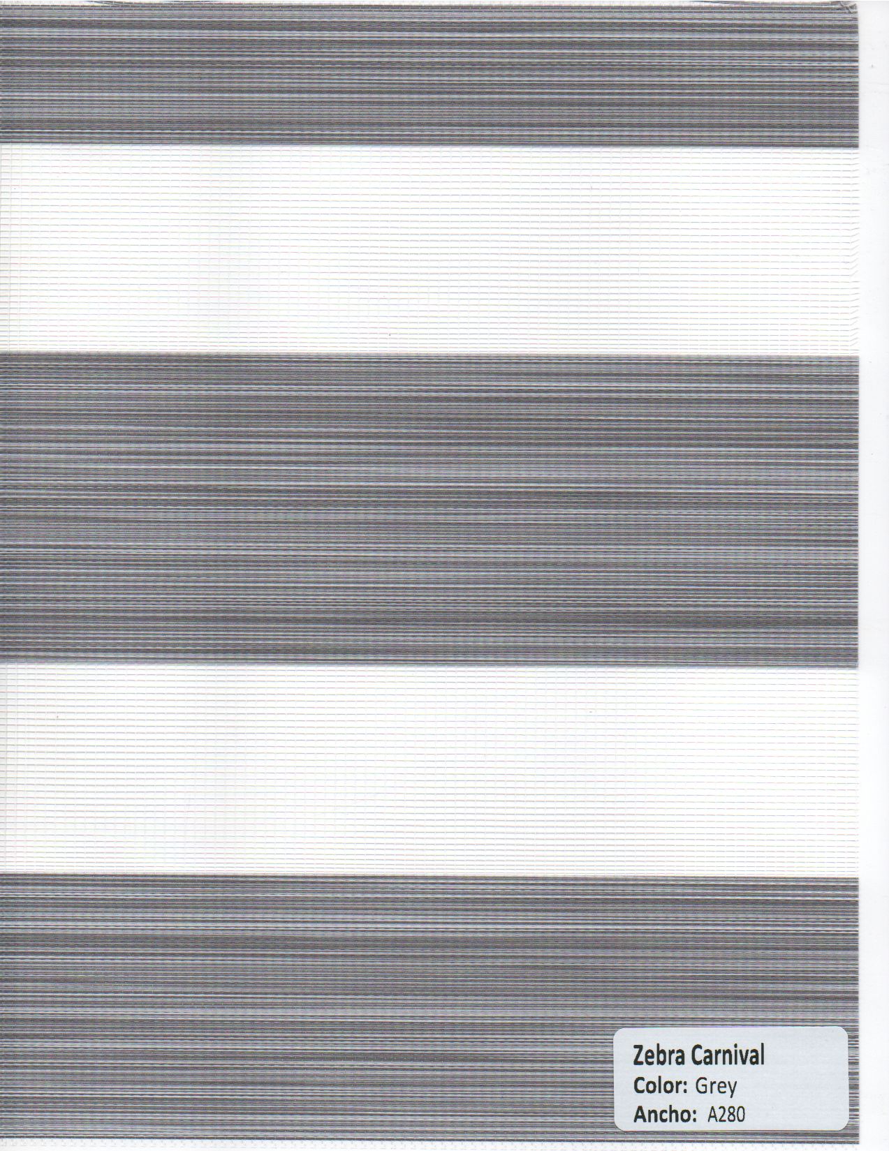 Zebra Carnival Grey